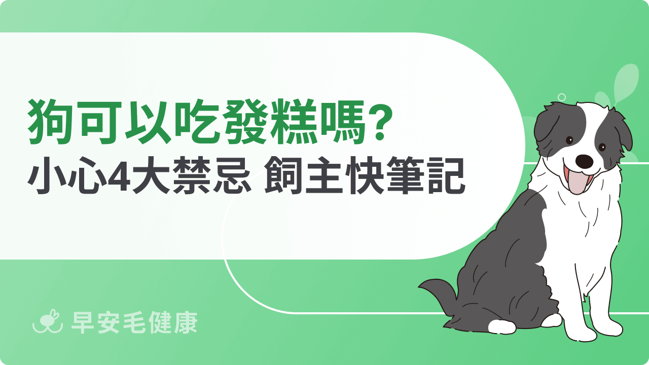 狗可以吃發糕嗎？過年點心陷阱，飼主必看！