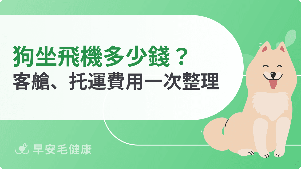 狗坐飛機多少錢?客艙、托運費用一次整理比給你看