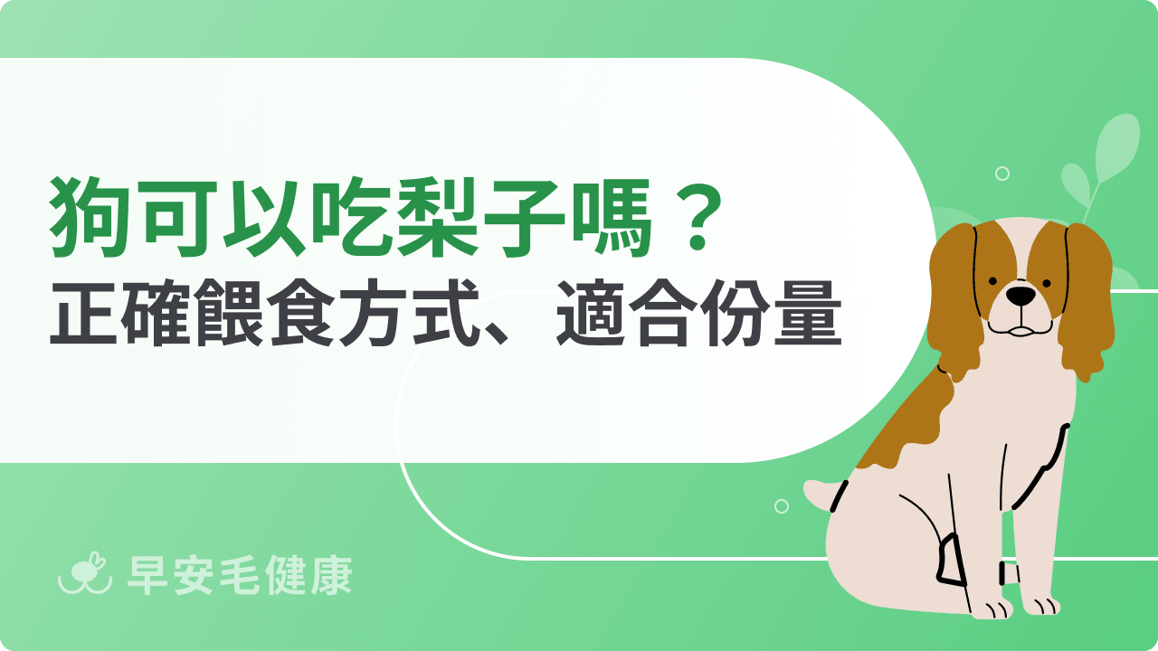 狗可以吃梨子嗎？正確餵食方式、適合份量與常見迷思說明
