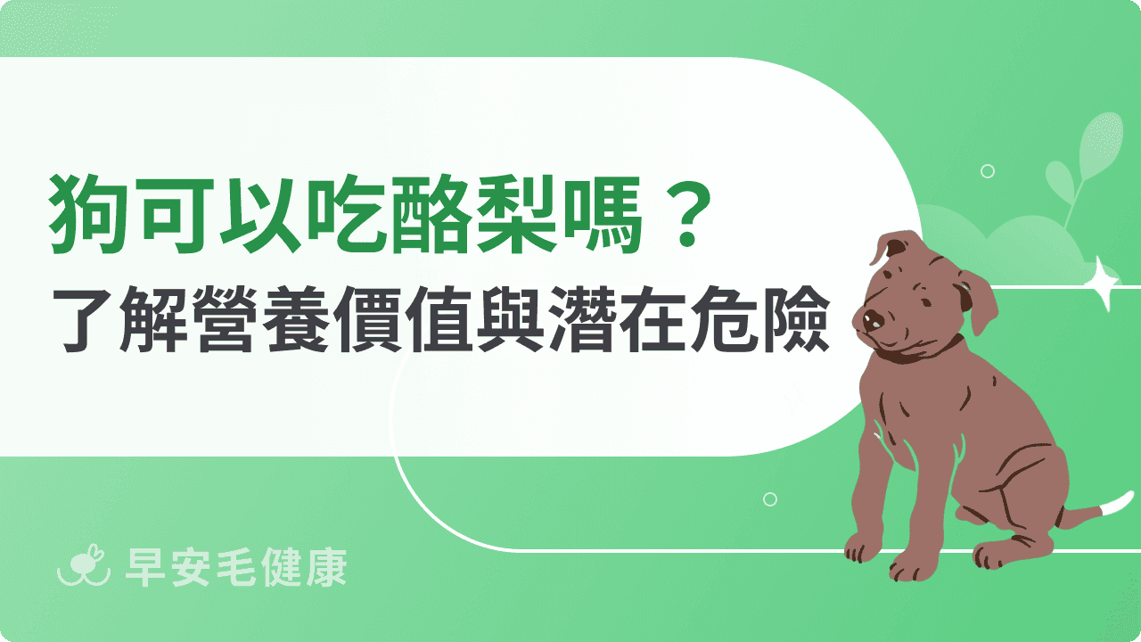 狗可以吃酪梨嗎？一次了解營養價值與潛在危險