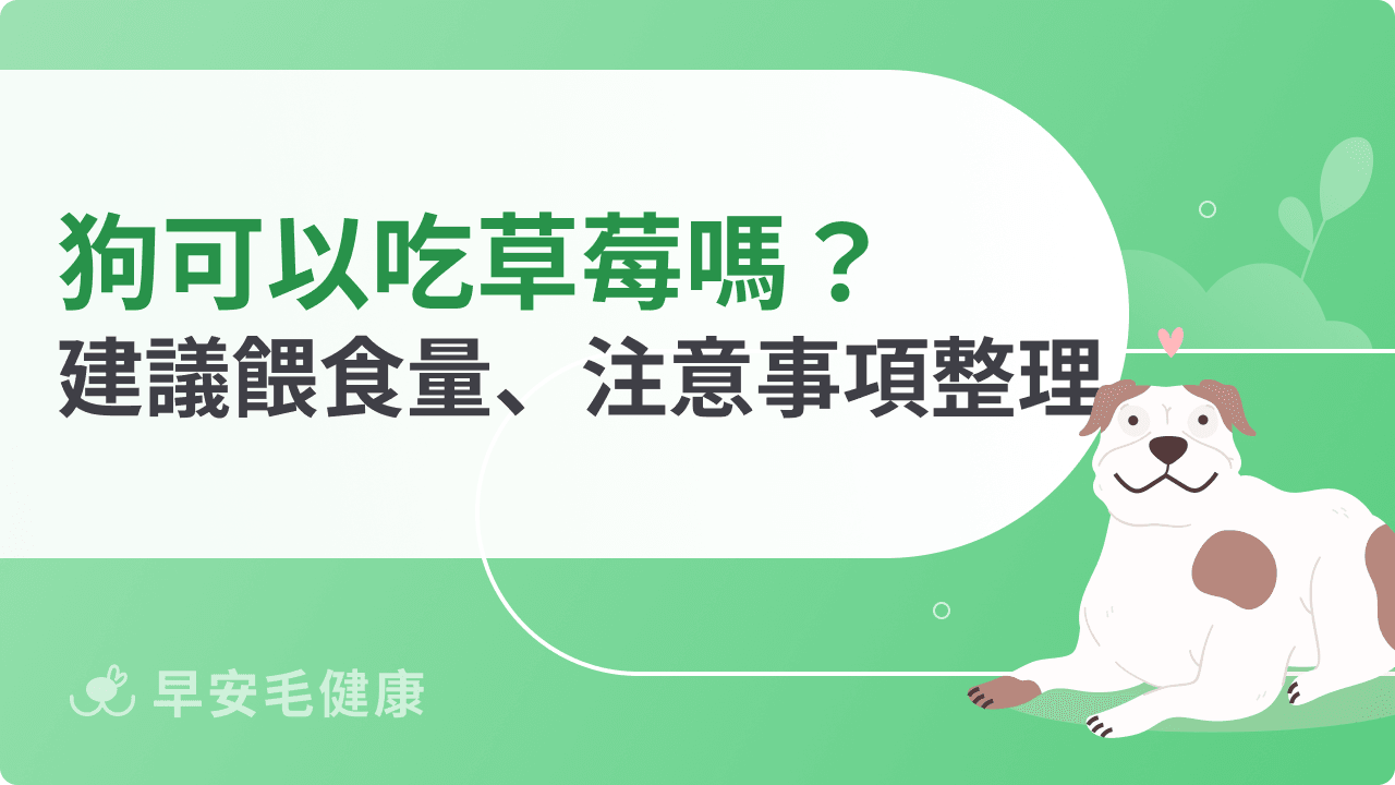 狗可以吃草莓嗎？建議餵食量、注意事項總整理