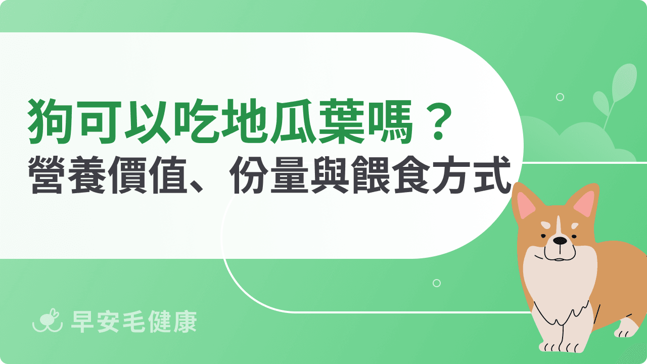 狗可以吃地瓜葉嗎？營養優點、副作用與適合餵食頻率