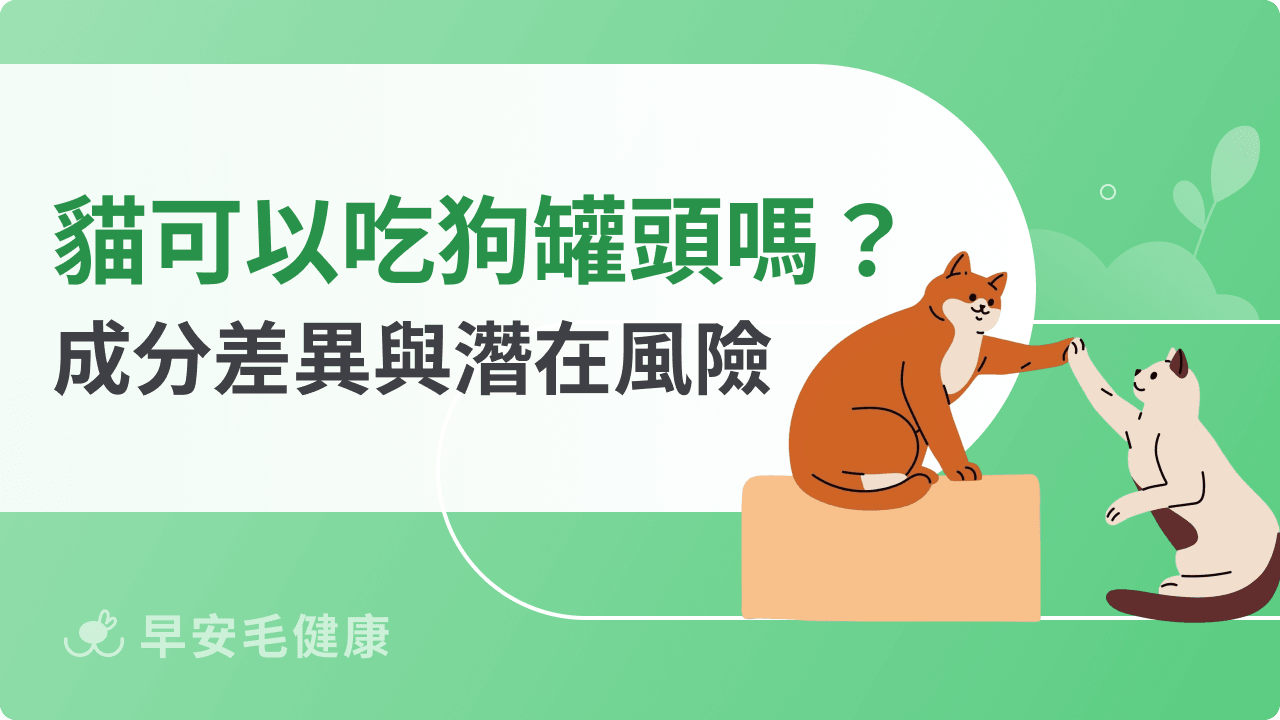 貓可以吃狗罐頭嗎？成分差異與潛在風險全解析