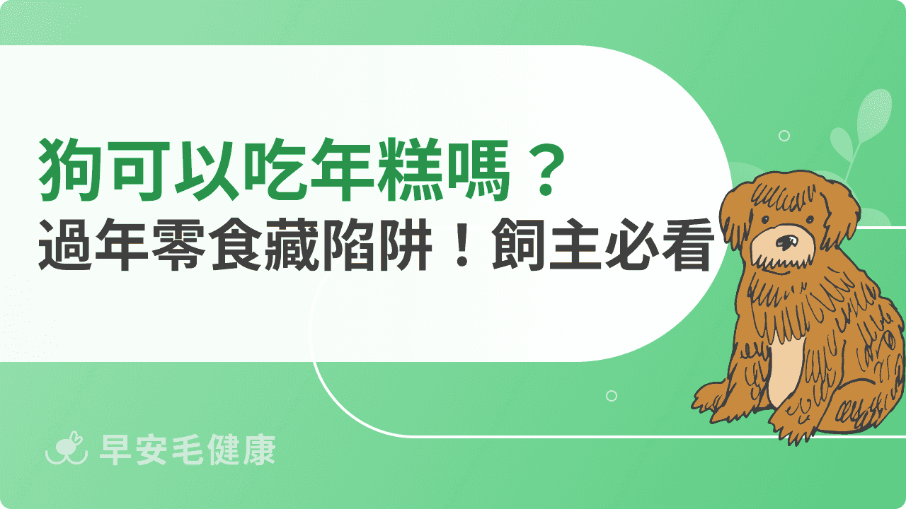 狗可以吃年糕嗎？過年零食陷阱與飼主必看指南