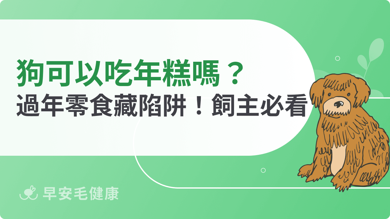 狗可以吃年糕嗎？過年零食陷阱與飼主必看指南