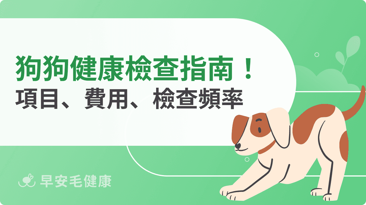 狗狗健康檢查指南！項目、費用、檢查頻率全解析