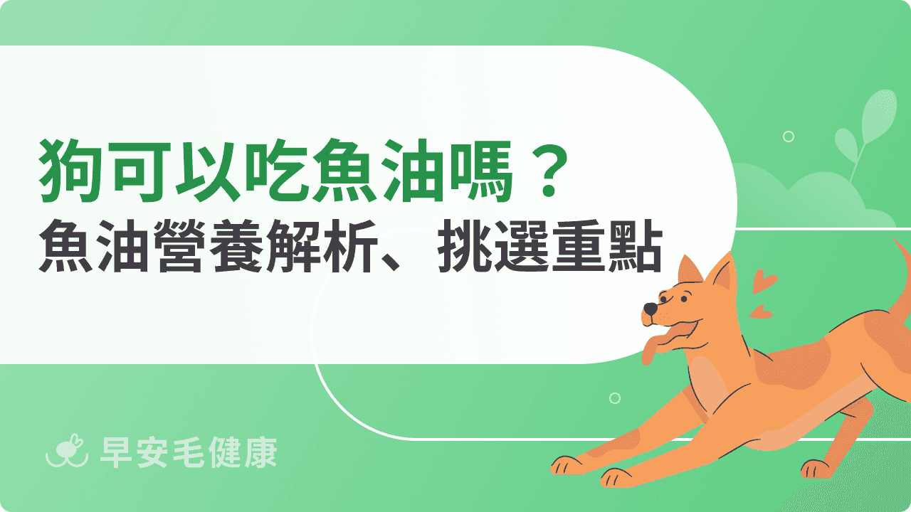 狗可以吃魚油嗎？狗狗吃魚油營養解析、挑選重點帶你看！