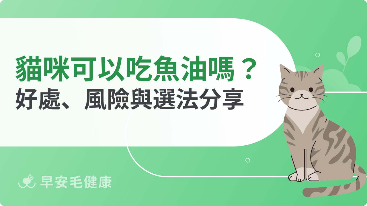 貓咪可以吃魚油嗎？選錯產品恐傷身，選對毛孩更健康！