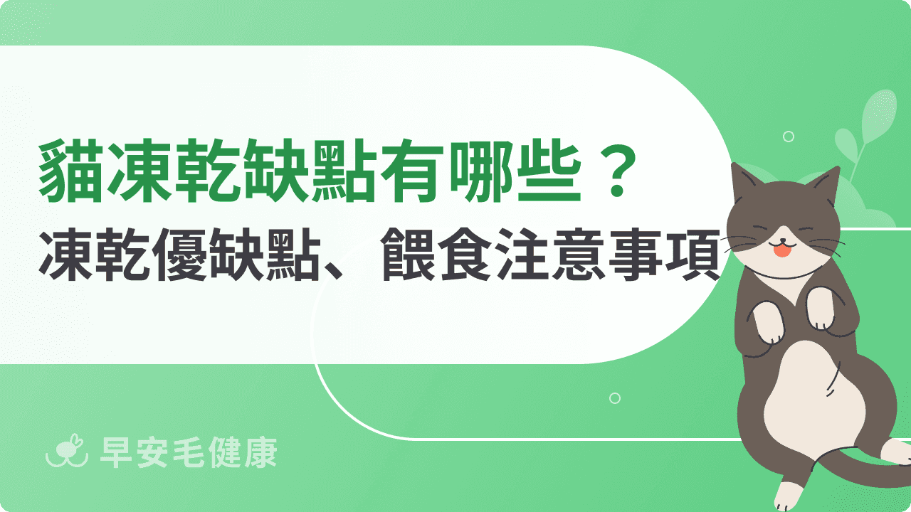 貓凍乾缺點有哪些？解密凍乾優缺點、餵食注意事項