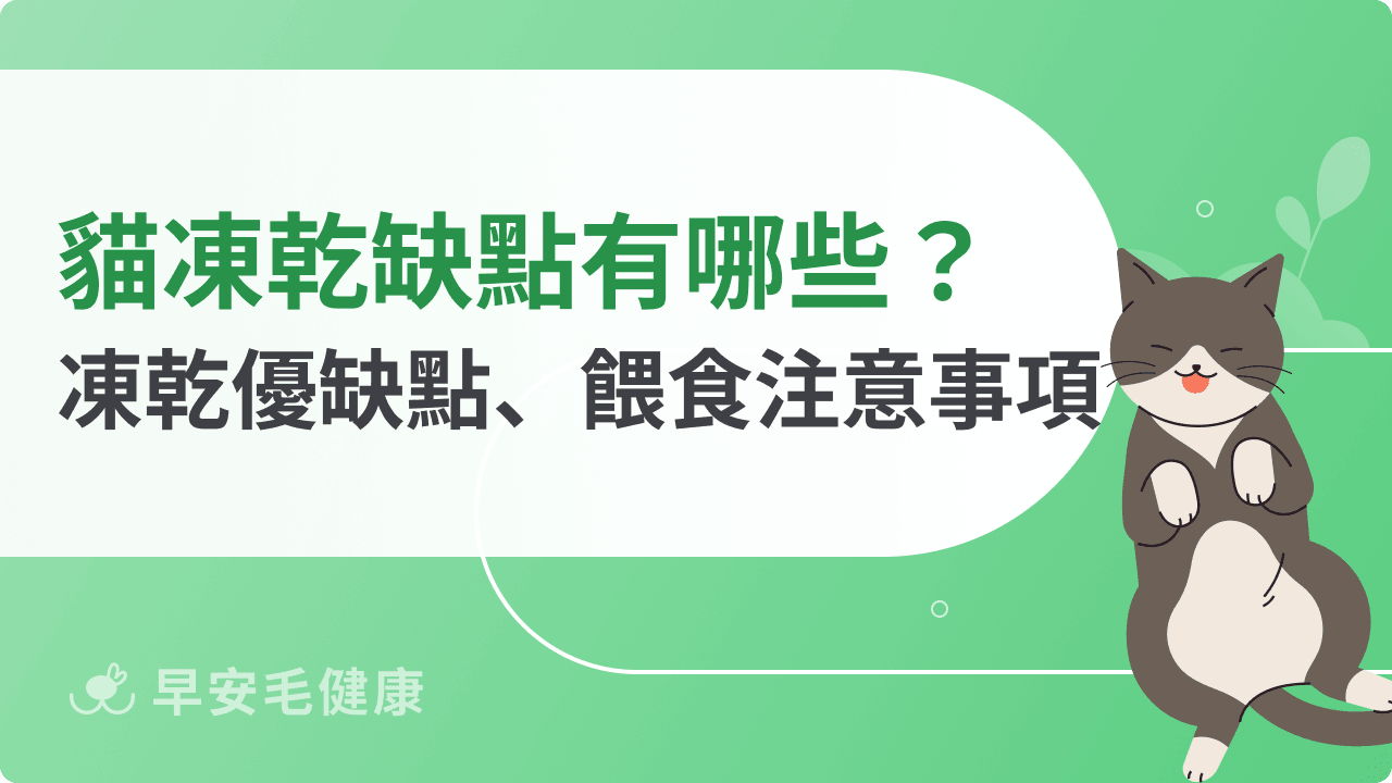 貓凍乾缺點有哪些？解密凍乾優缺點、餵食注意事項