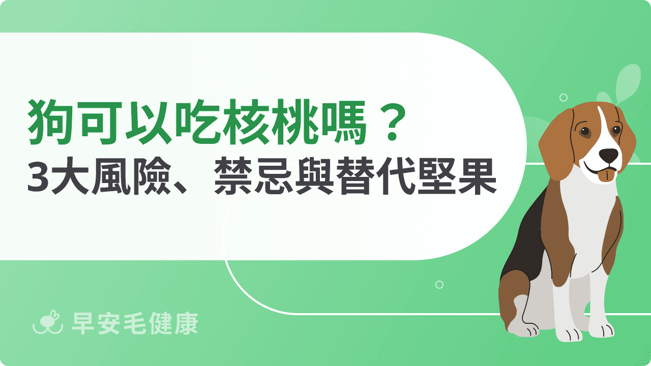 狗可以吃核桃嗎？毒性風險、餵食禁忌、替代堅果飼主不可不知！