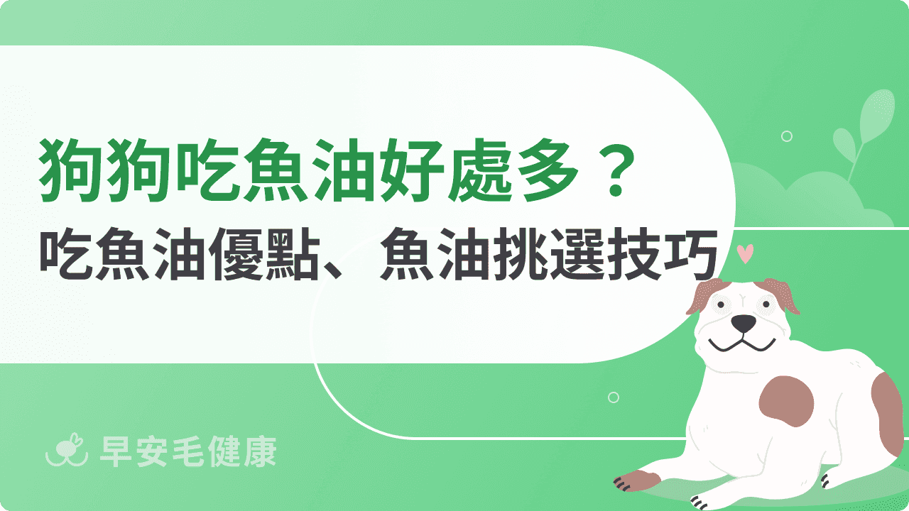 狗狗吃魚油的好處是什麼？一同了解狗狗吃魚油優點、魚油挑選技巧