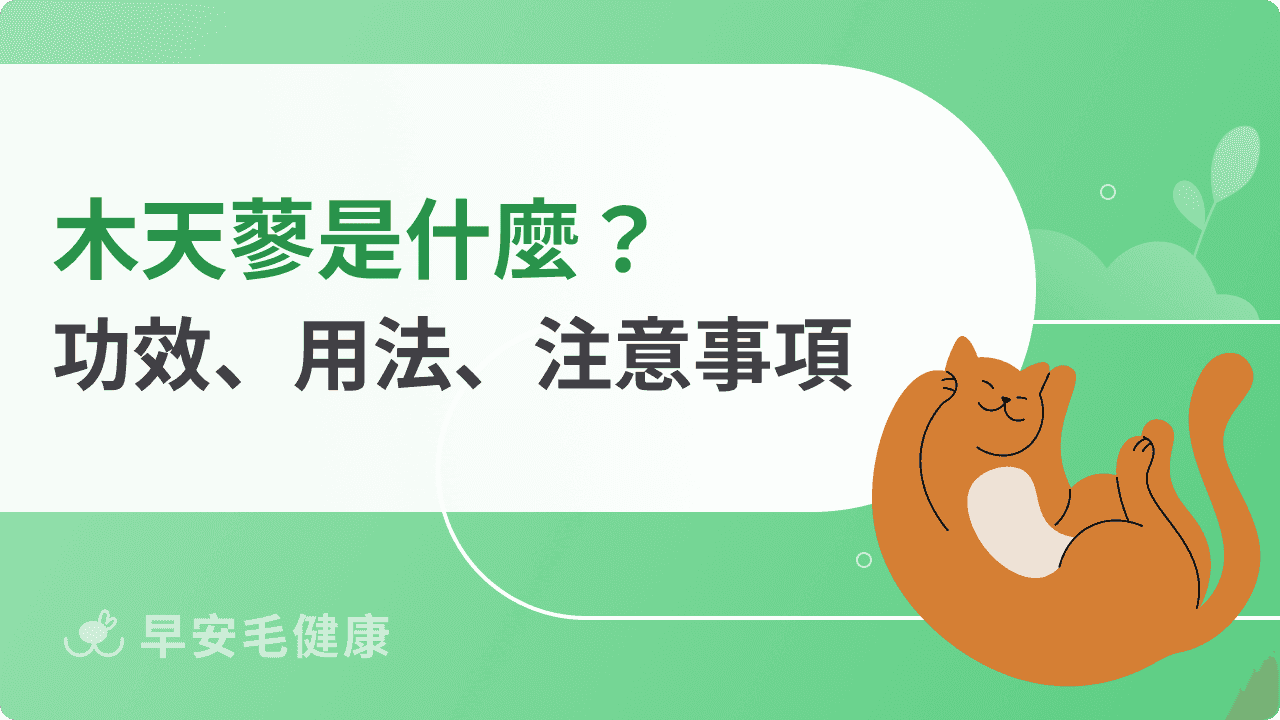 木天蓼幼貓可以吃嗎？木天蓼副作用、延伸產品一次看