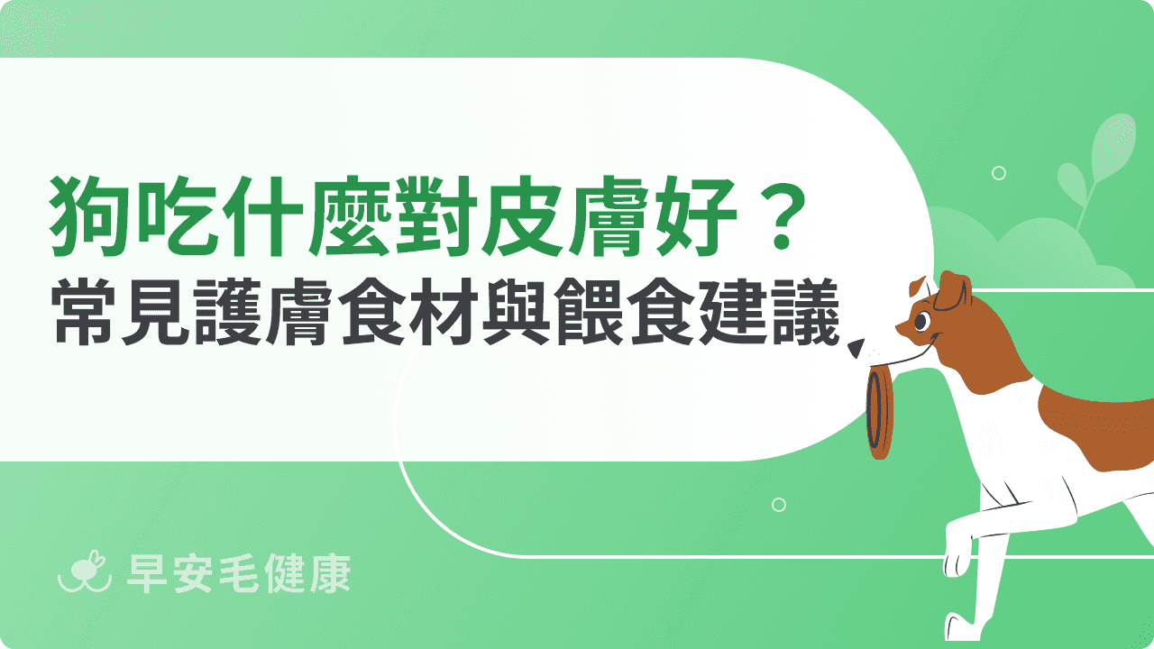 狗狗吃什麼對皮膚好？常見護膚食材與餵食建議