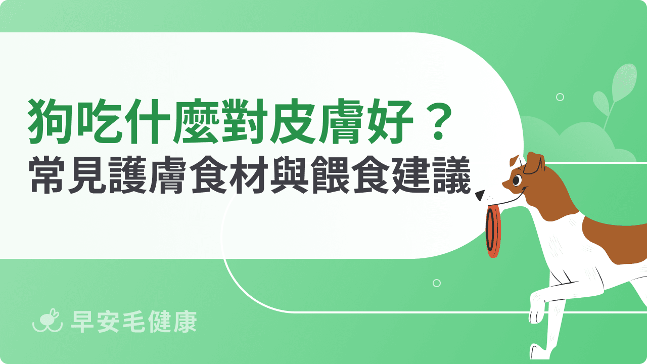 狗狗吃什麼對皮膚好？常見護膚食材與餵食建議