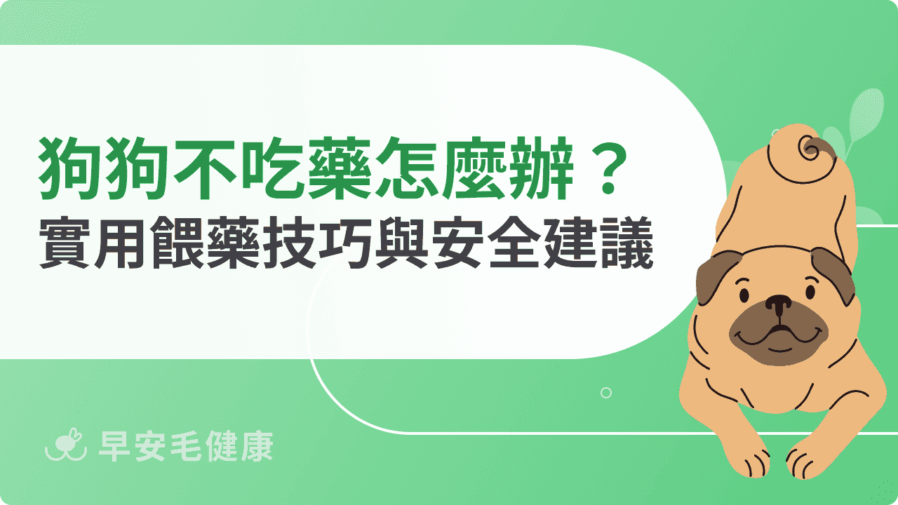 狗狗不吃藥怎麼辦？實用餵藥技巧與安全建議