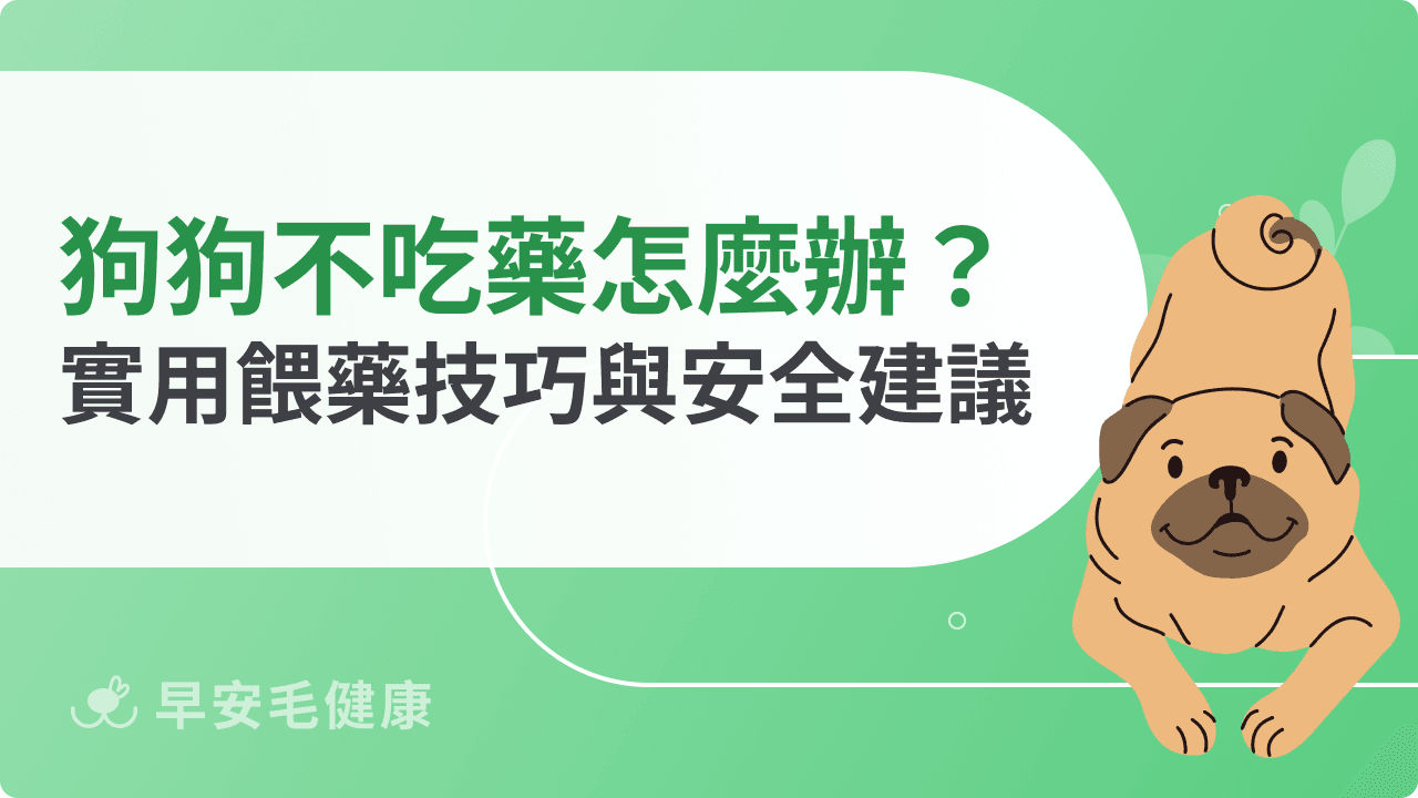 狗狗不吃藥怎麼辦？實用餵藥技巧與安全建議