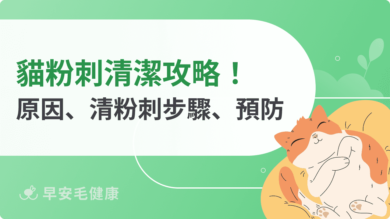 貓粉刺怎麼清？貓痤瘡、下巴黑原因與3大正確清理步驟！