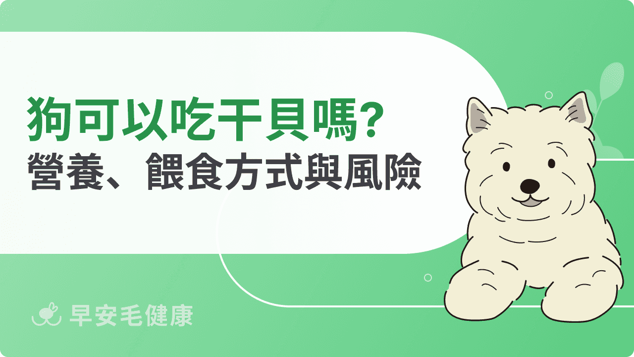 狗可以吃干貝嗎？營養好處、餵食方式與風險解析