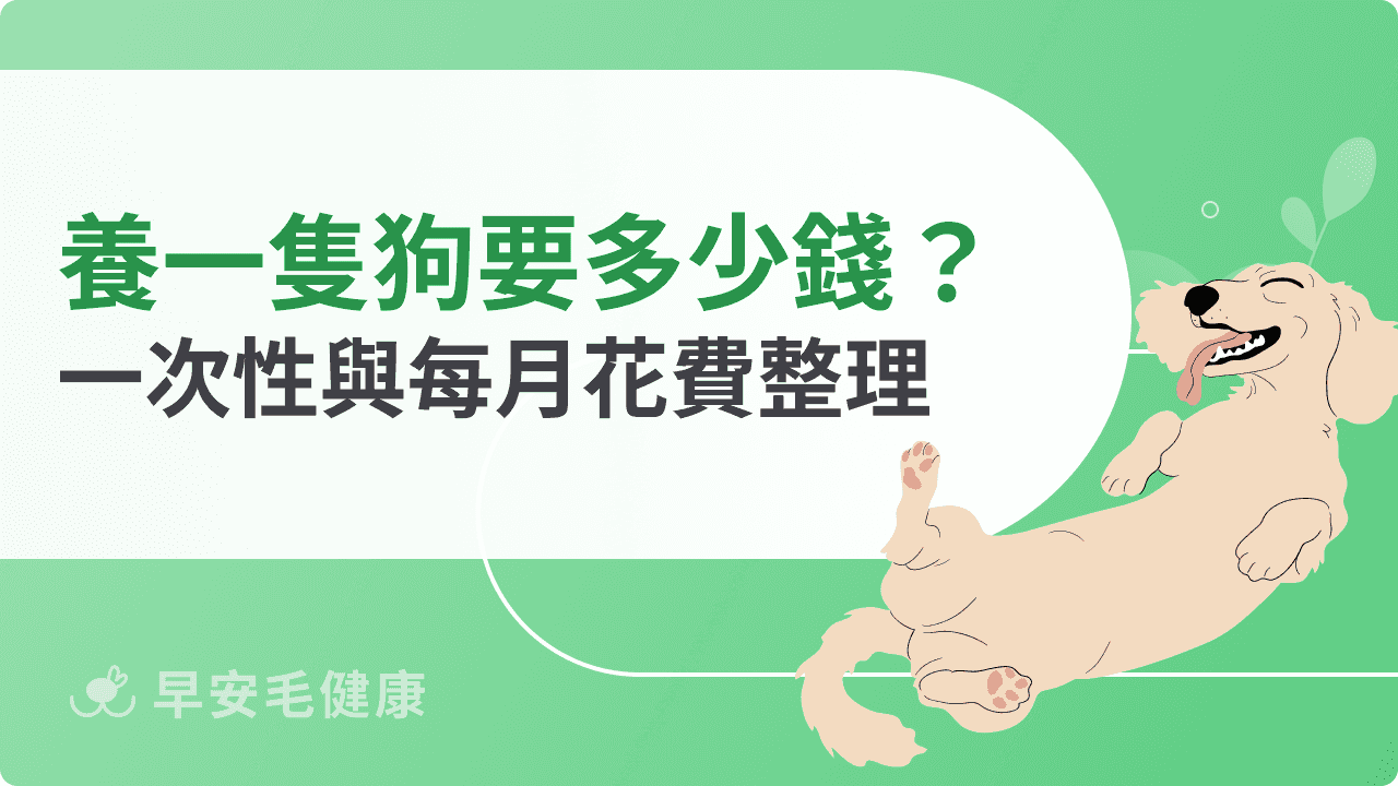 養一隻狗要多少錢？飼主初期與每月花費、預算整理