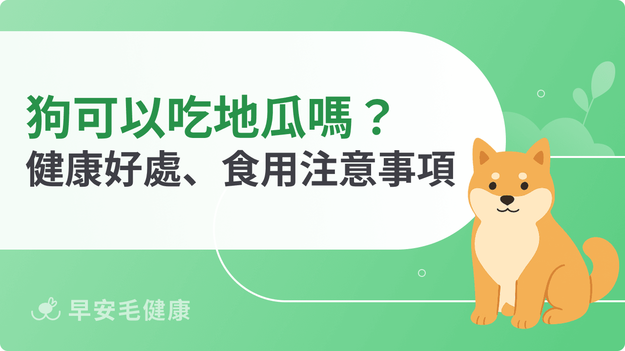 狗可以吃地瓜嗎？地瓜皮可以一起吃嗎？正確餵食方法說明