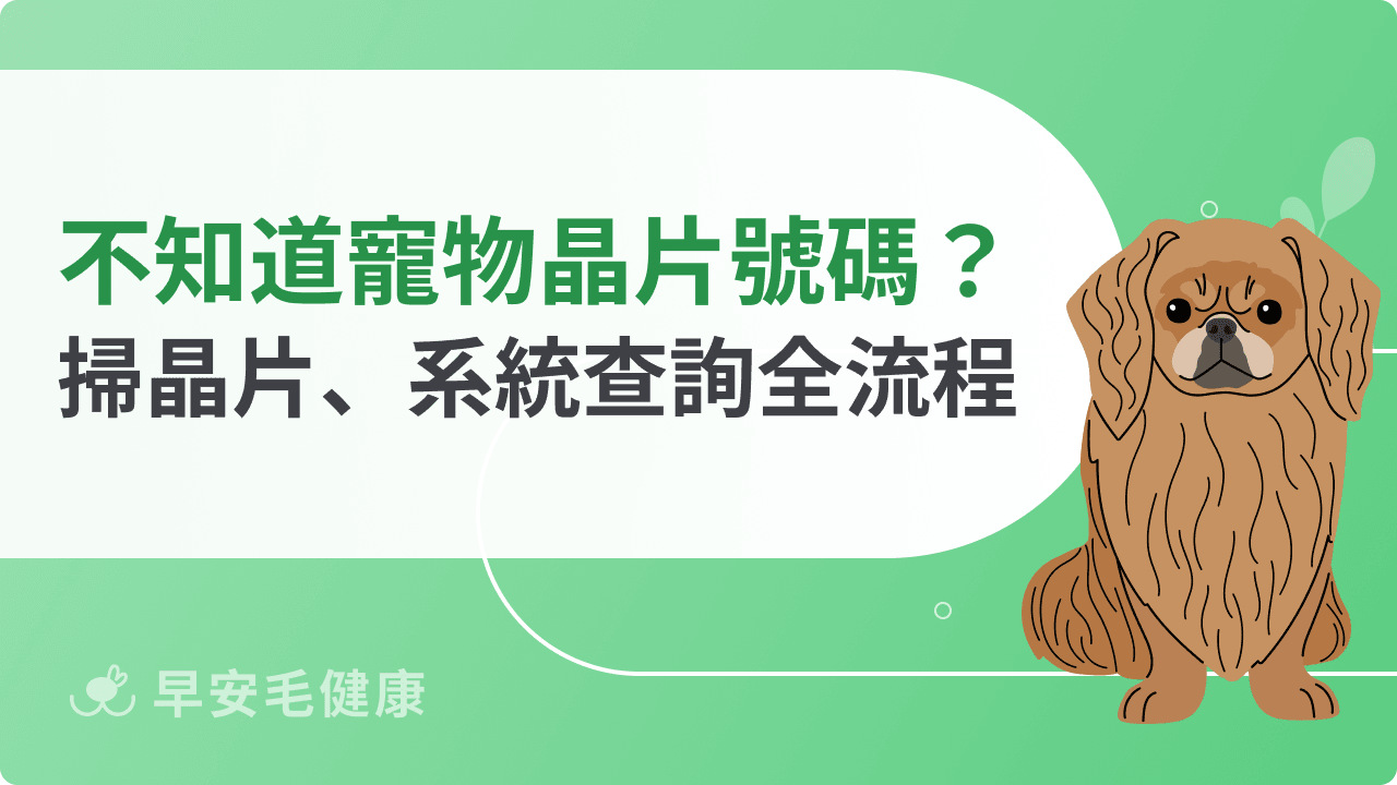 不知道寵物晶片號碼怎麼辦?醫院掃描到系統查詢的流程懶人包