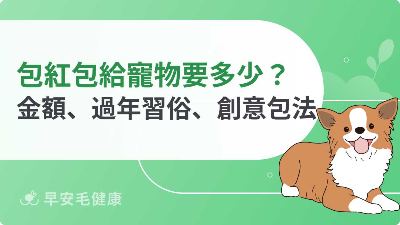 包紅包給寵物要多少？過年儀式感與風險一次看