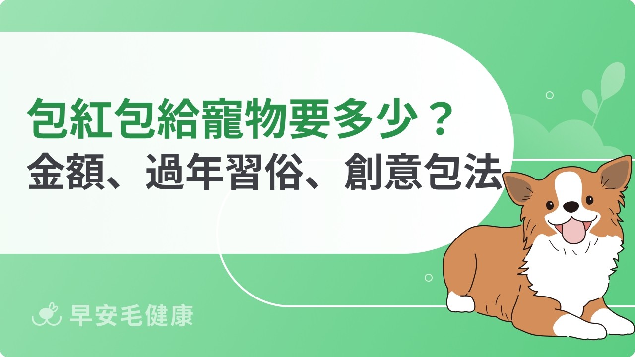 包紅包給寵物要多少？過年儀式感與風險一次看