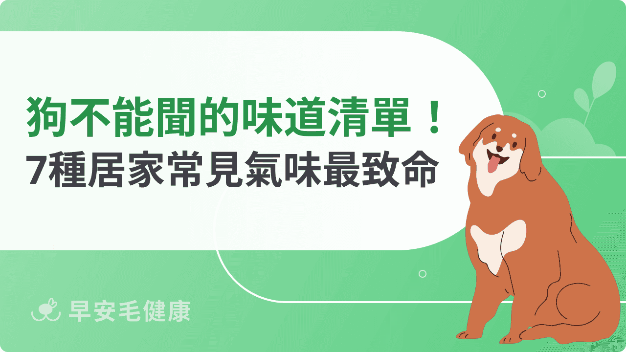 狗狗不能聞的味道清單！7種居家常見氣味最致命