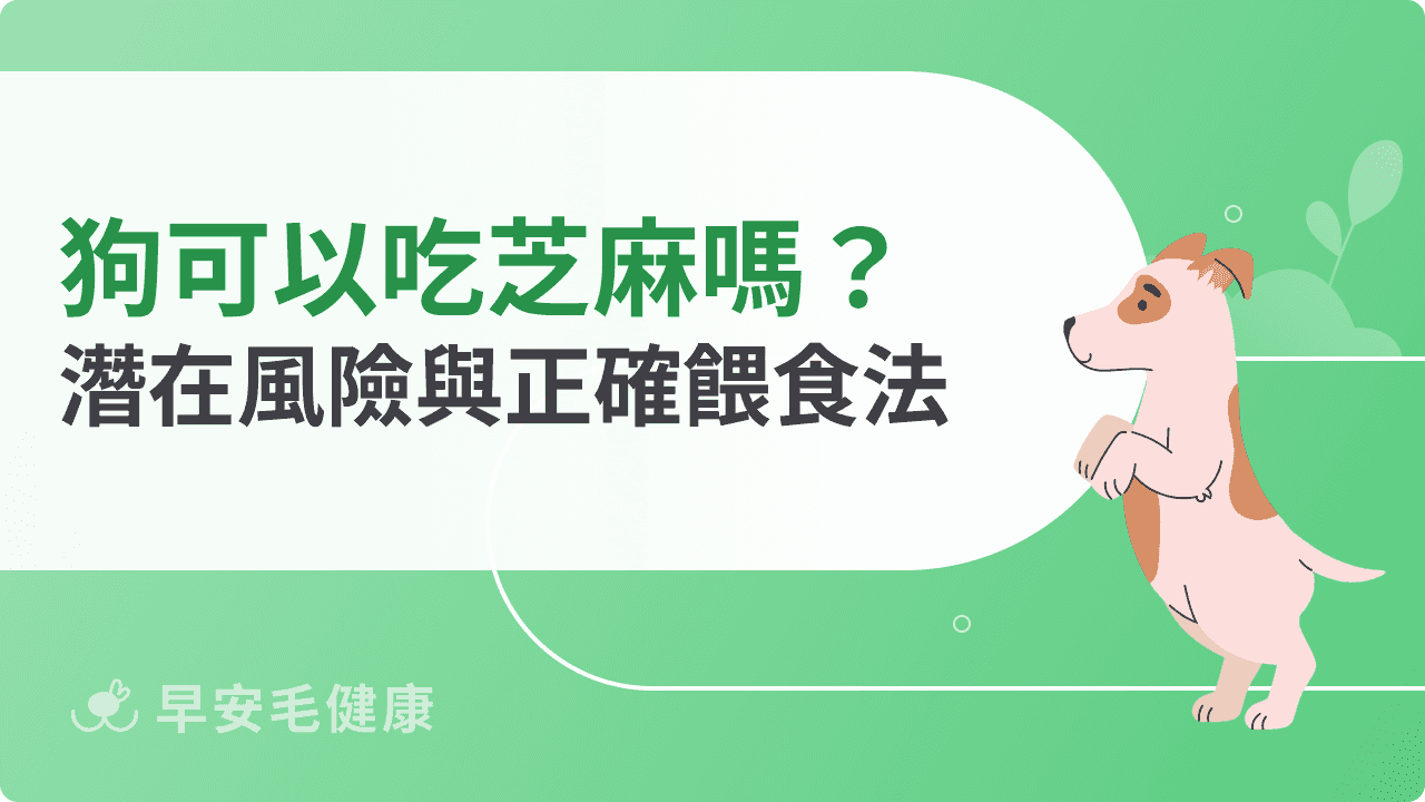 狗可以吃芝麻嗎？餵芝麻可以幫狗狗補鈣？正確餵食觀念報你知