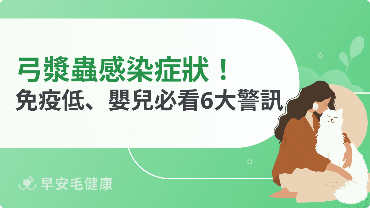 弓漿蟲感染症狀有哪些？如何治療？高風險族群必看的警訊整理
