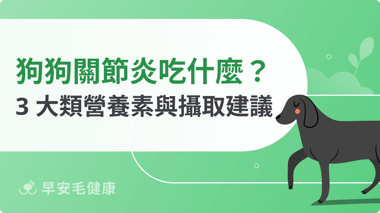 狗狗關節炎吃什麼？3 大類營養素與攝取建議