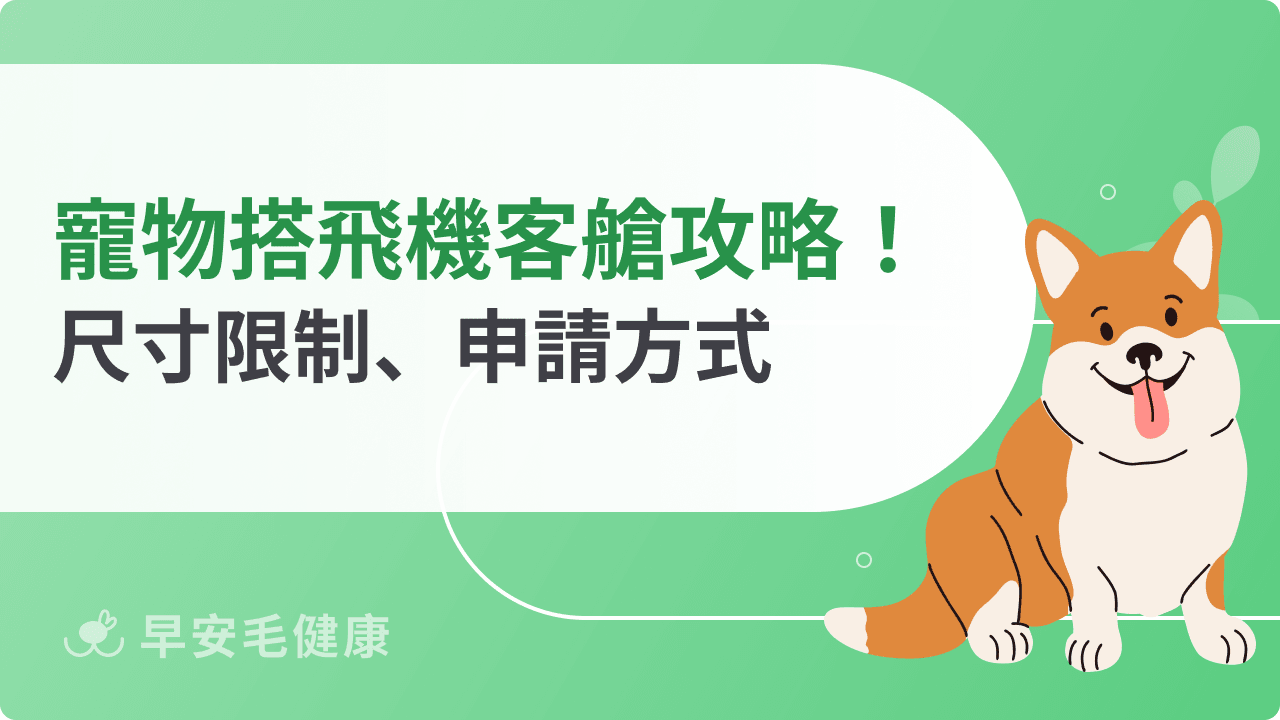 寵物搭飛機坐客艙可以嗎？尺寸限制、申請方式一次看