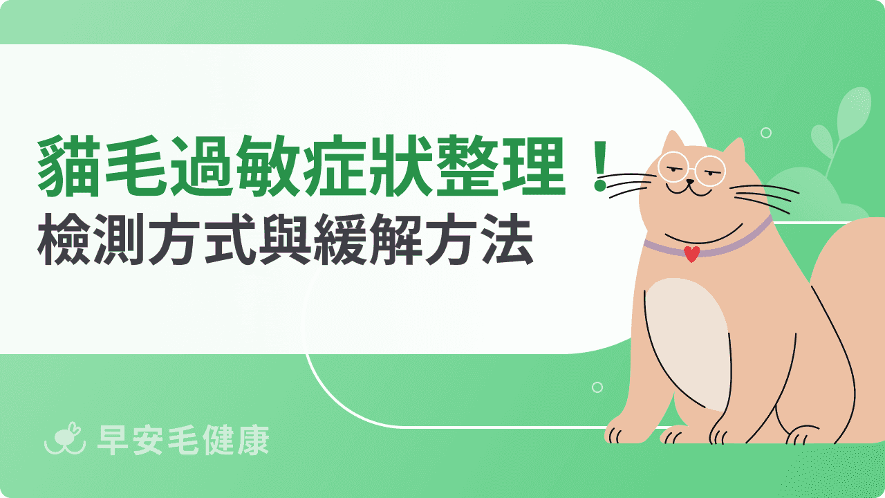 貓毛過敏症狀有哪些？常見反應、檢測方式與緩解方法一次看