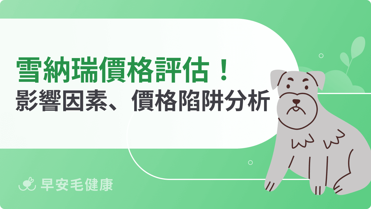 雪納瑞價格評估指南：了解影響因素、價格陷阱，教你聰明挑毛孩