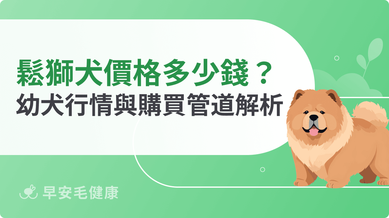 鬆獅犬價格是多少？幼犬行情、影響因素與飼養成本一次看