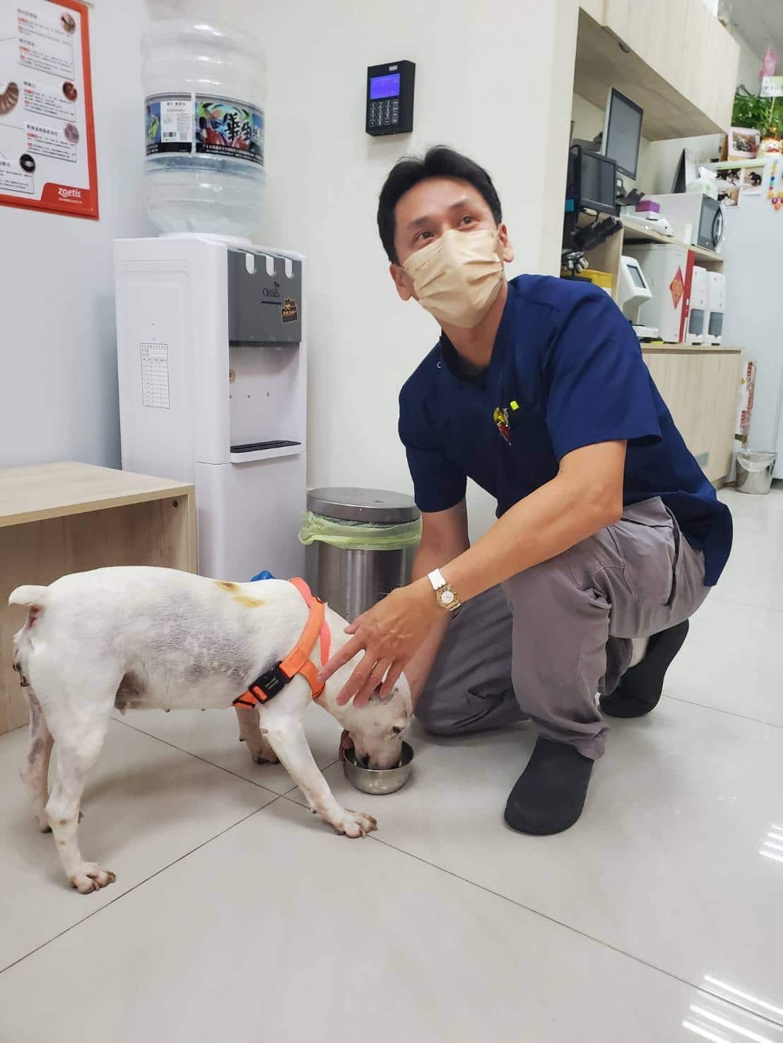 3.mountainvet-dog-parasite-prevention-guide-vet