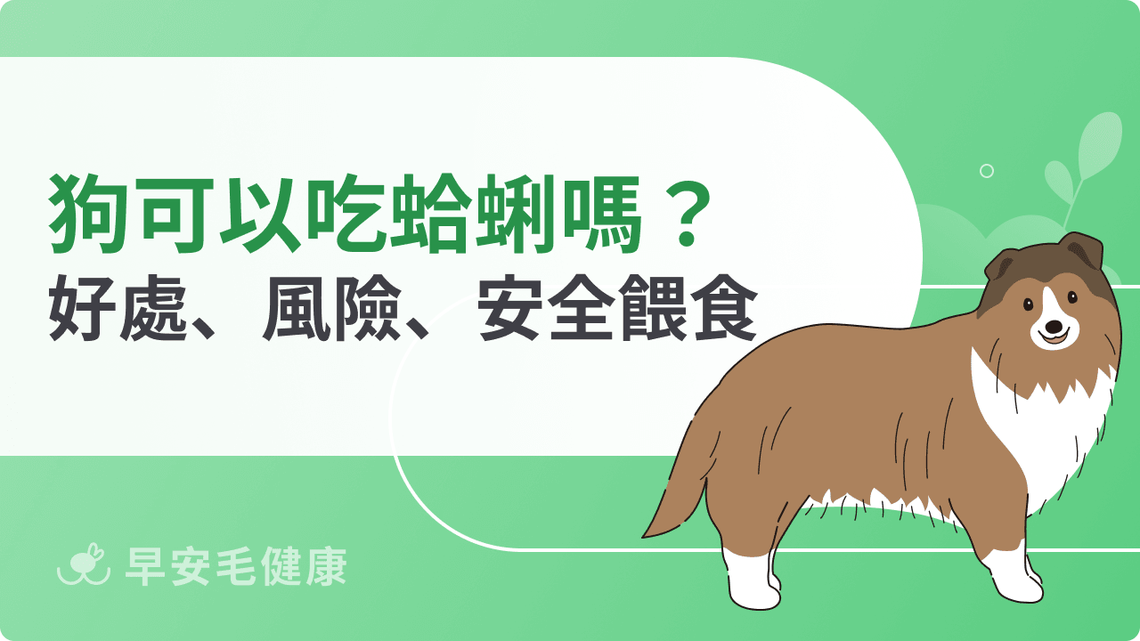 狗可以吃蛤蜊嗎？營養好處、風險與安全餵食方式