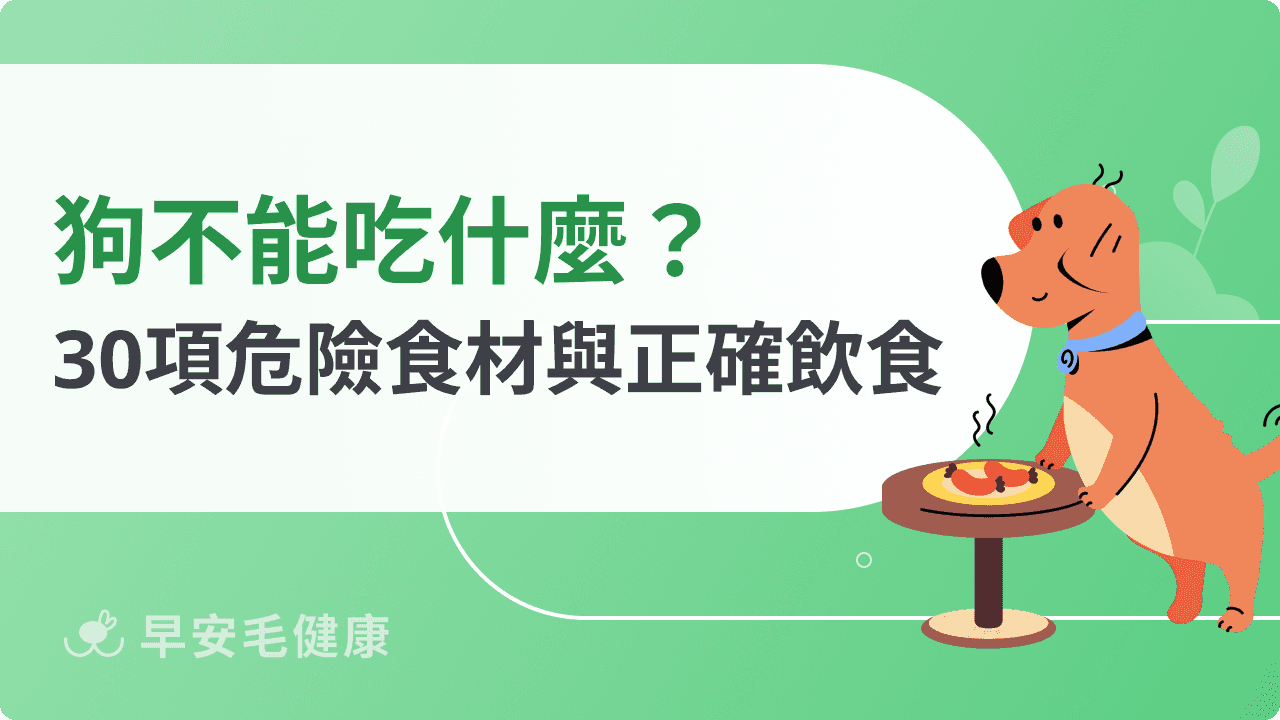 狗不能吃什麼？雞骨、菠菜葉 10 種「餐桌剩菜」恐致命（全30種收錄）