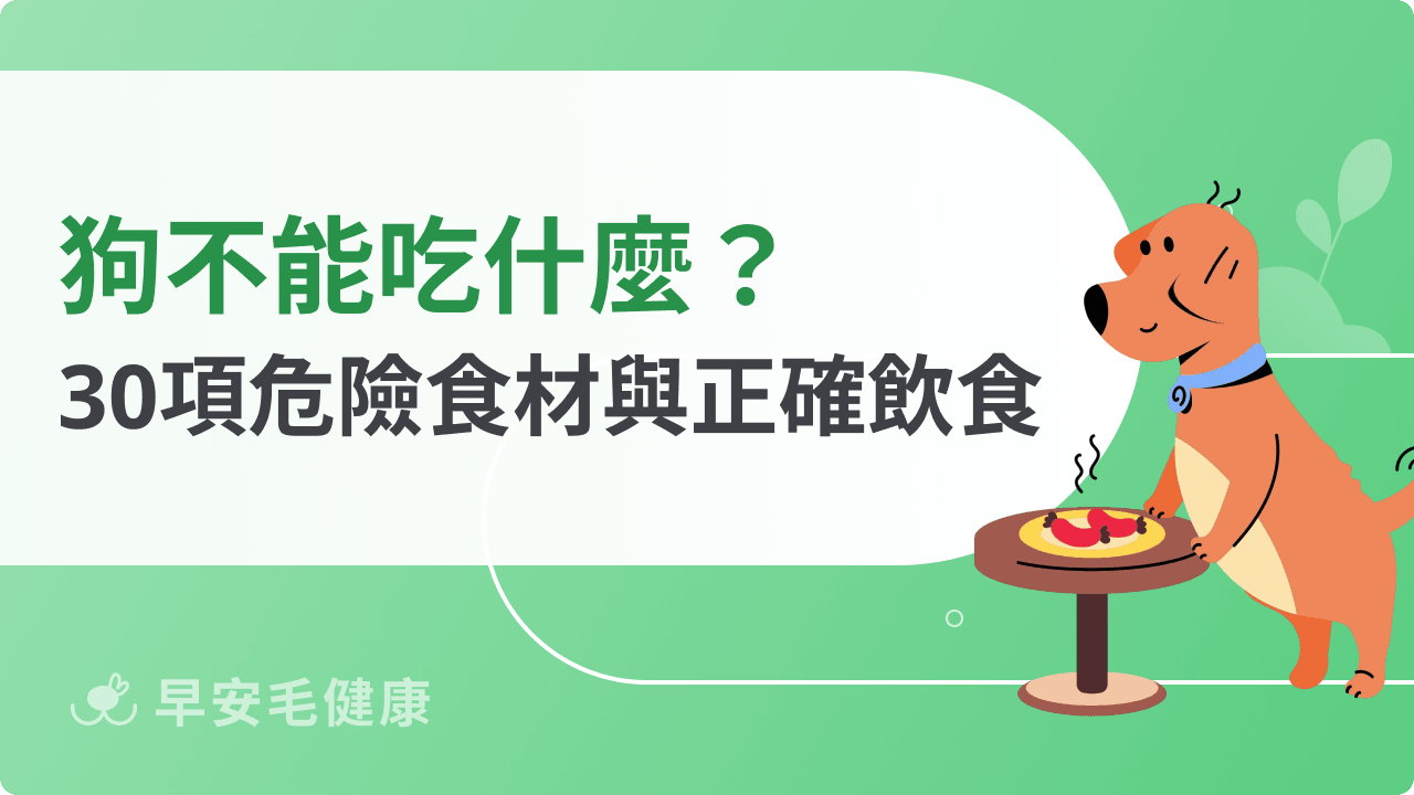 狗不能吃什麼?雞骨、菠菜葉 10 種「餐桌剩菜」恐致命(全30種收錄)