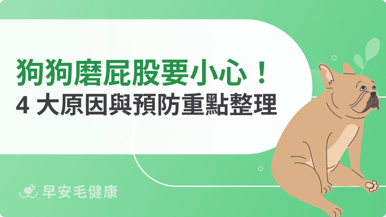 狗狗磨屁股不一定是寄生蟲！4 大原因與預防重點整理