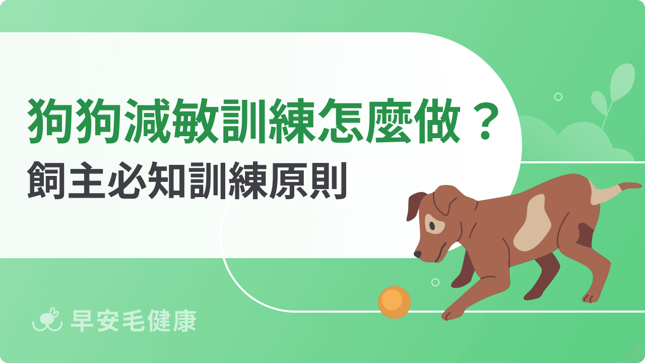 狗狗減敏訓練怎麼做？飼主必知訓練原則，陪伴狗狗克服恐懼