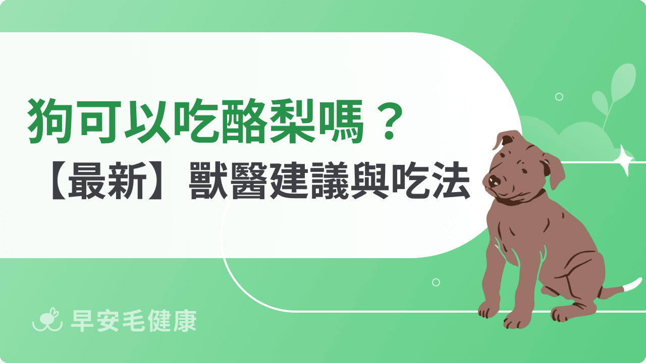 狗可以吃酪梨嗎？獸醫建議與科學研究「這樣」吃才可以！