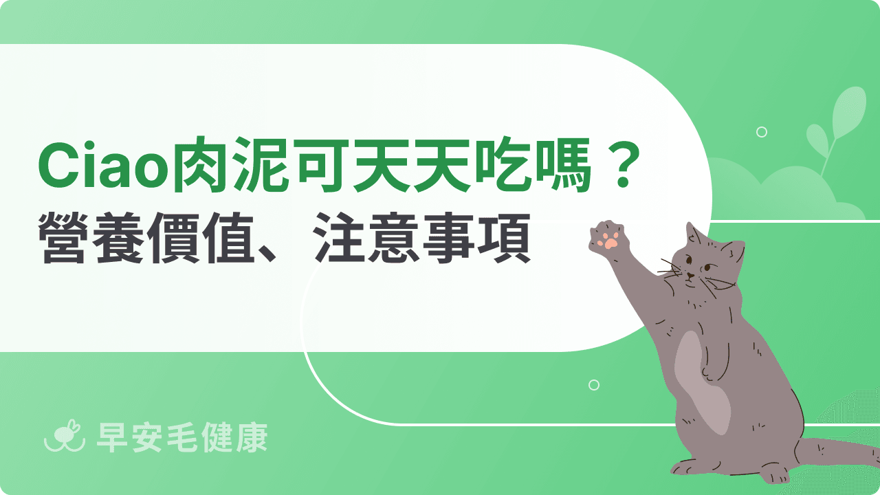 Ciao肉泥可以天天吃嗎？避免過量是重點！正確餵食觀念分享