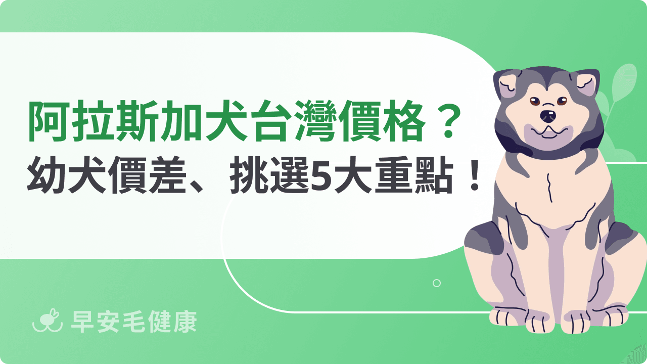 阿拉斯加犬台灣價格多少？幼犬行情、血統差異與挑選重點