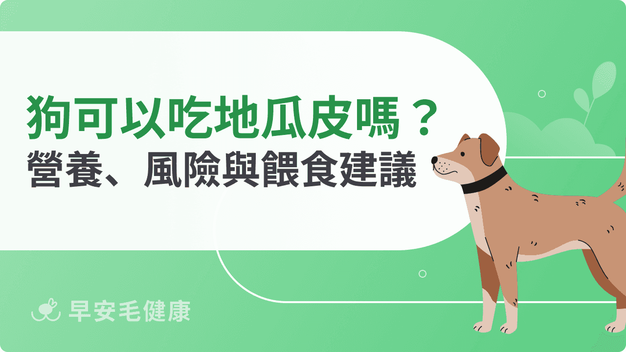 狗狗可以吃地瓜皮嗎？營養價值、風險與正確餵食建議