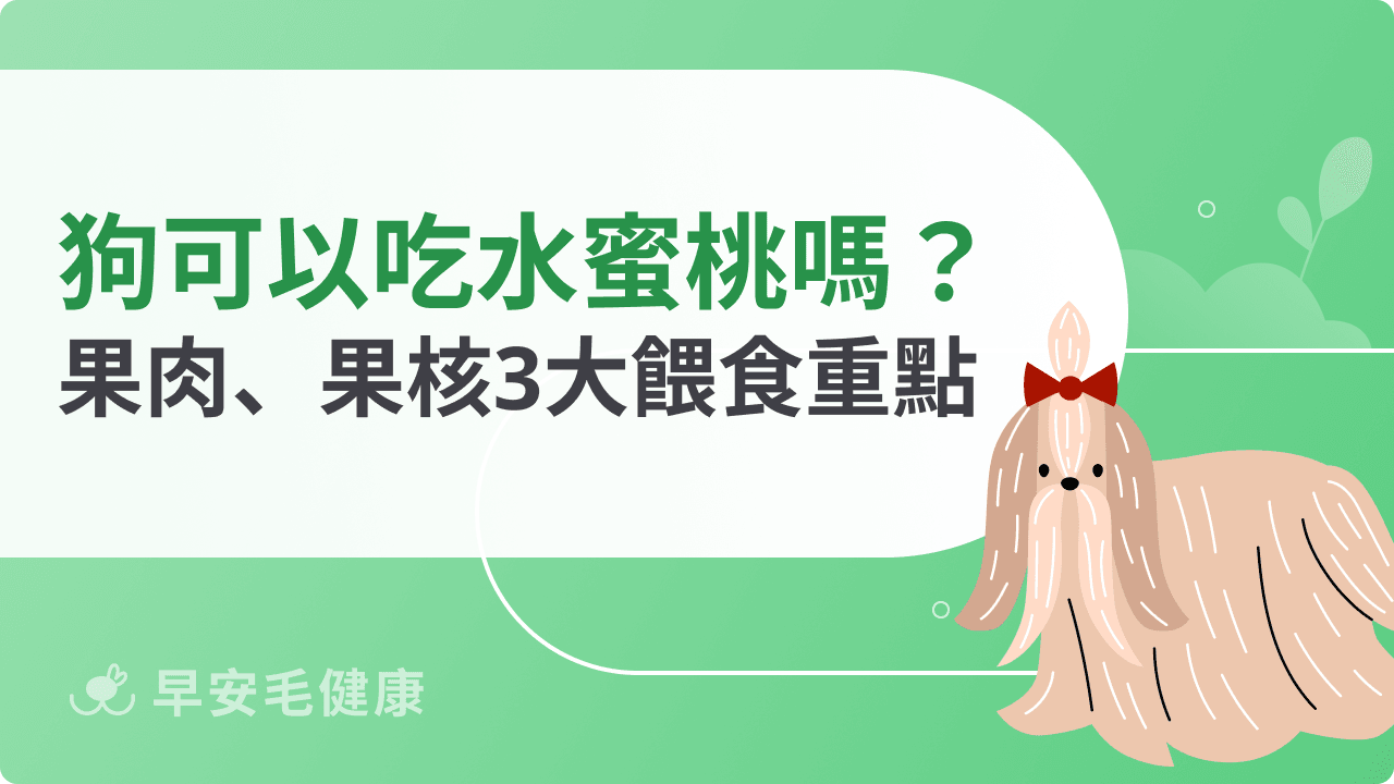 狗可以吃水蜜桃嗎？果肉能吃嗎？果核風險＋安全餵食重點解析