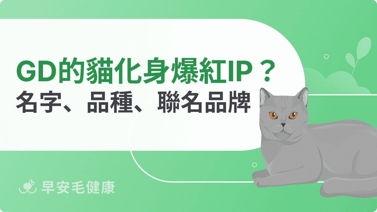 GD的貓化身爆紅IP？名字、品種、聯名品牌介紹