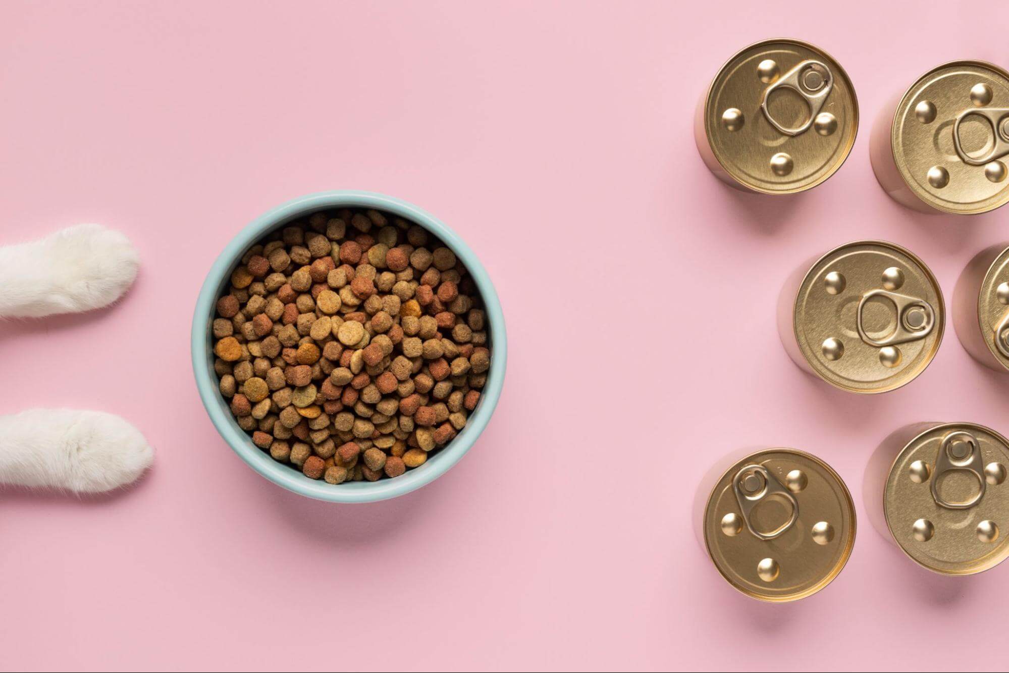 297. AI - can-puppies-eat-canned-dog-food-1