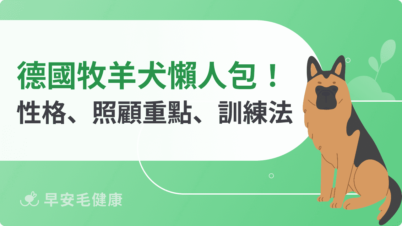 台灣可以養德牧嗎？德國牧羊犬個性、價格、優缺點整理